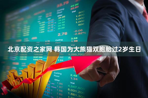 北京配资之家网 韩国为大熊猫双胞胎过2岁生日