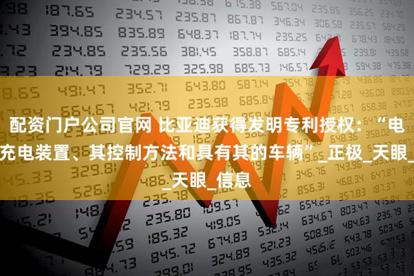 配资门户公司官网 比亚迪获得发明专利授权：“电池包充电装置、其控制方法和具有其的车辆”_正极_天眼_信息