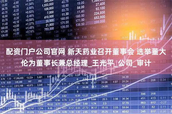 配资门户公司官网 新天药业召开董事会 选举董大伦为董事长兼总经理_王光平_公司_审计