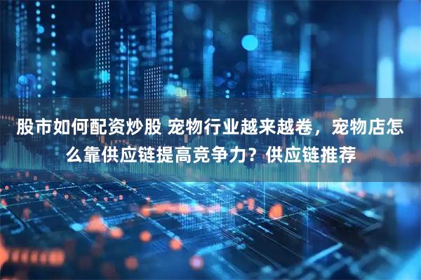 股市如何配资炒股 宠物行业越来越卷，宠物店怎么靠供应链提高竞争力？供应链推荐